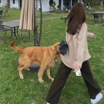 哥特式杀手